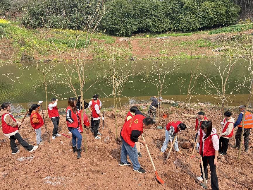 植此青綠 醫(yī)路同行|市中醫(yī)院團(tuán)委開(kāi)展  植樹(shù)節(jié)活動(dòng)